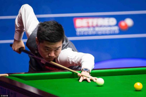 这次主动请 这次主动请