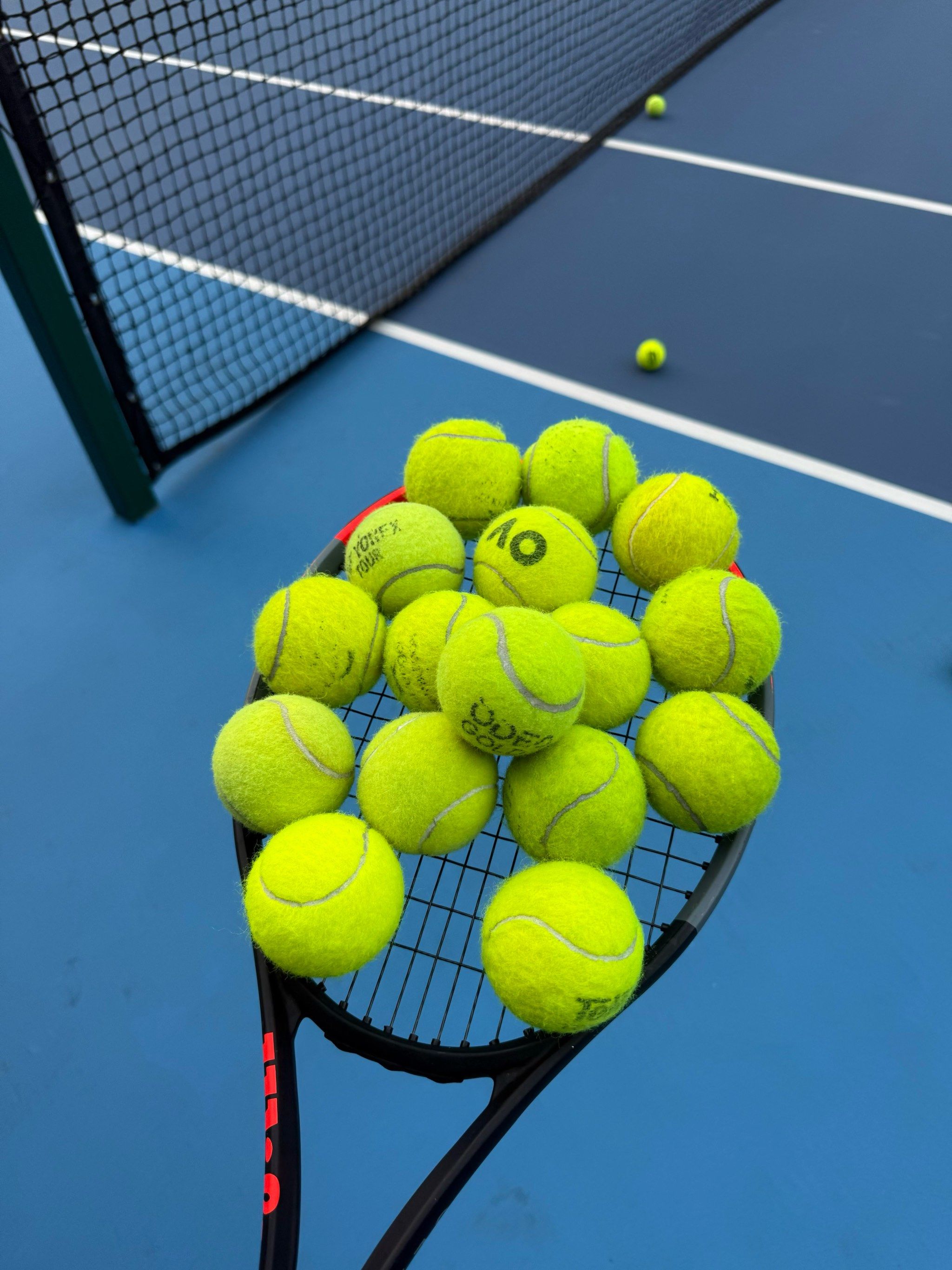 意大利教练 意大利教练